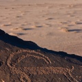 capra-ibex-petroglyph-saudi-arabia-33641518-49F7-11DC-AE28-000A95CA2156.jpg