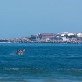 eubalaena-australis-south-africa-2A5D3944-4B24-4E8F-9980-5D215DFDACE8.jpg