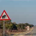 loxodonta-africana-namibia-6041388E-B539-4E27-85BB-AABE2C2B03DD.jpg