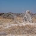 termitiere-namibia-688CEAEC-205D-4C1D-BC01-3EB3296BBD86.jpg