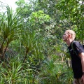 pandanus-horizontalis-vietnam-28EF294E-9568-4C46-B5C2-9D9B99690C6E.jpg