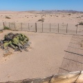 welwitschia-mirabilis-namibia-2BD0955D-445F-4128-ABF4-DBA11F8CA762.jpg