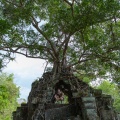 beng-melea-cambodia-06A291E7-C04D-4DE4-8838-67D4ADBAA42D.jpg