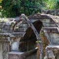 beng-melea-cambodia-C95857A3-738E-4933-8131-A8A3E3E5B4B7.jpg