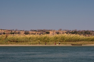 Boat tour on Okavango river