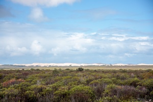 De Hoop Nature Reserve