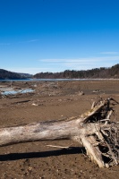 Gruyère lake in winter