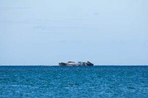 Islet in St-Rose