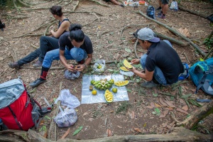 Jungle picnic