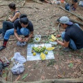 jungle-picnic-indonesia-DB823E74-A2DF-483E-9F46-50FEB81E0C6E.jpg