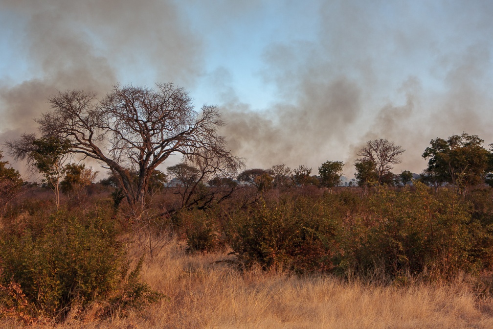 kongola-to-divundu-namibia-92C7B11D-9170-4FD1-93B3-6121C1E9CF40.jpg