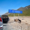 m41-osh-to-sary-mogul-kyrgyzstan-E95201A1-F4DC-4EBF-A245-063C1C4C99BF.jpg