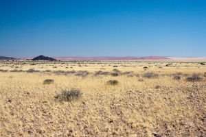 Maltahohe to Sesriem