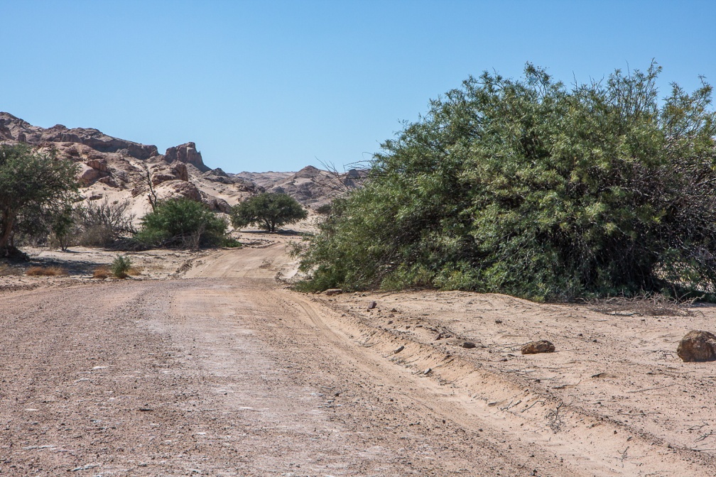 naukluft-national-park-namibia-D0E648B6-60D5-45B7-8495-10CF50747F4E.jpg