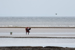 Récolte de couteaux au Cap Esterias