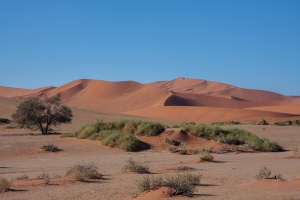 Sossusvlei