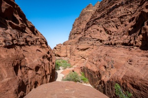 Thamudic bedouin road