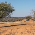 werda-botswana-ACACBD04-0F55-4550-A0ED-E8EFDE42FBA7.jpg