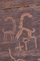Capra ibex (Bouquetin) petroglyph