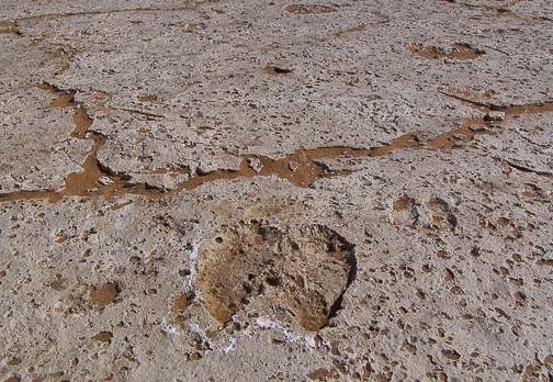 Fossil footprint