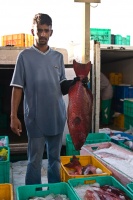 Djeddah fish market