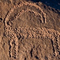 Capra ibex (Bouquetin) petroglyph
