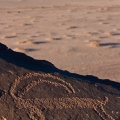 Capra ibex (Bouquetin) petroglyph