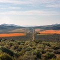 Cape Town to Springbok