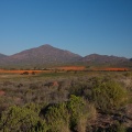 Cape Town to Springbok