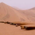 rain-saudi-arabia-5.jpg