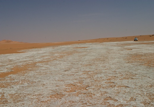 Oryx leucoryx fossil footprints