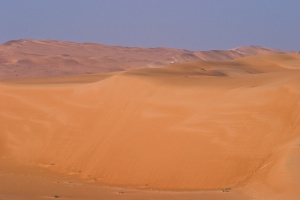 Tall dune
