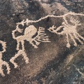 Petroglyph