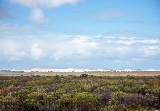 De Hoop Nature Reserve