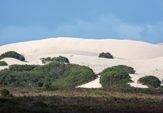 De Hoop Nature Reserve