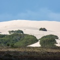 De Hoop Nature Reserve
