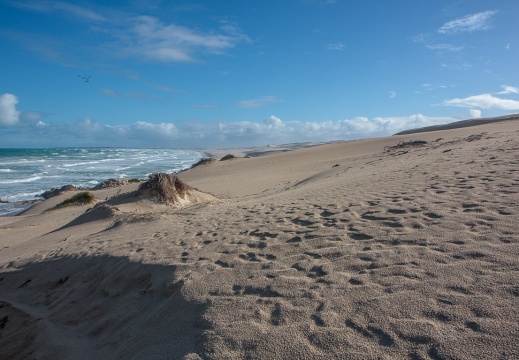 De Hoop Nature Reserve