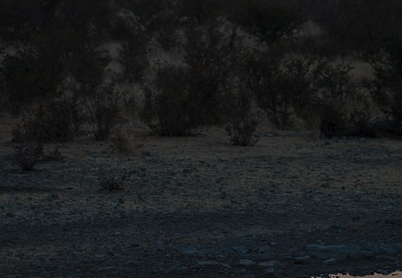Etosha National Park