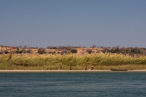 Boat tour on Okavango river