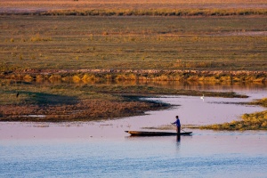 Fisherman on Chobe river