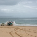 Whale watching at Plettenberg Bay