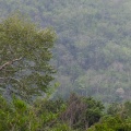 Kwai river