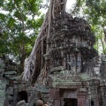 angkor-thom-cambodia-30.jpg
