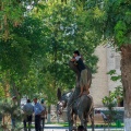 Nasreddin Hodja