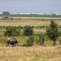 Fields in Urgut district