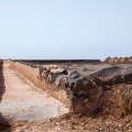 water-canal-canaries-fuerteventura.jpg