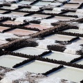 las-salinas-de-fuencaliente-canaries-la-palma-3.jpg