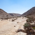Royal wadi, Tell el Amarna