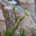 _MG_190705094002_7194.jpg