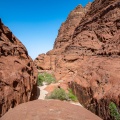 Thamudic bedouin road